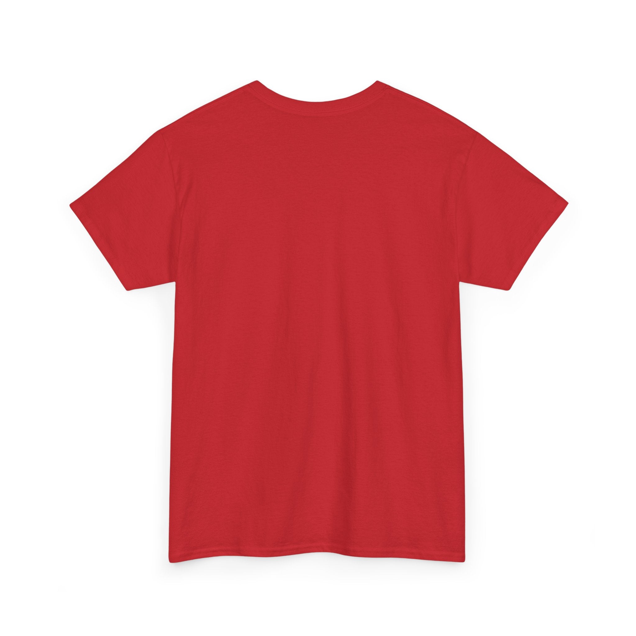 Meme T-Shirt — “I don't like spiderman” Funny Exit Sign Photo Tee